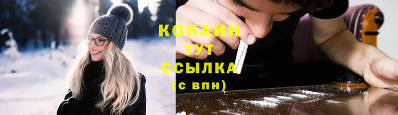 купить закладку  Буинск  COCAIN Эквадор 